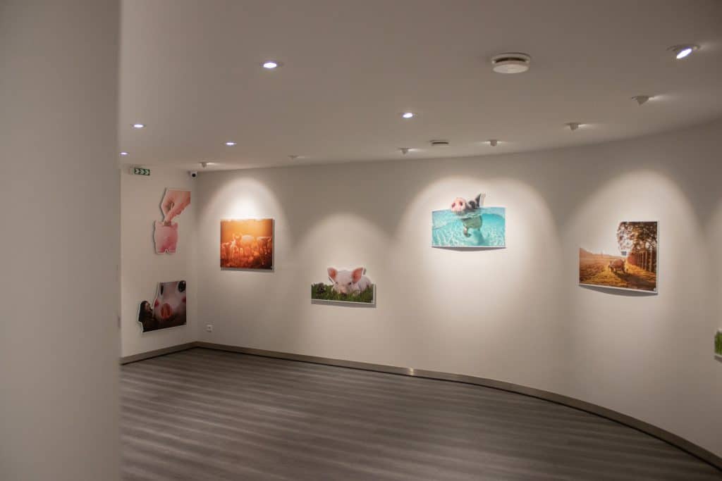espace muséographique maison du jambon debayonne