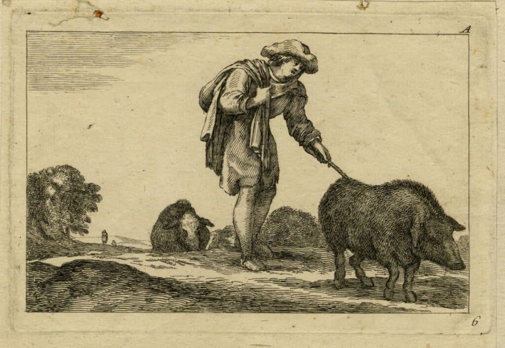 Paysan et cochon | Musée d'art et d'histoire de Genève